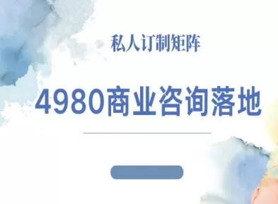 4980商业咨询师落地课程-ip运营高客单教程 - 项目资源网