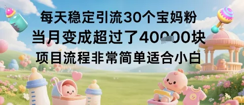 每天稳定引流30个宝妈粉当月变成超过了1W+项目流程非常简单适合小白