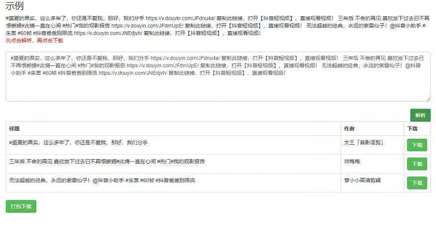 短视频无水印解析网页源码 - 项目资源网