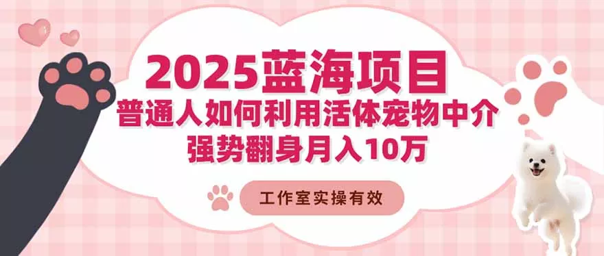 2025蓝海项目：普通人如何利用活体宠物中介，强势翻身月入10万 - 项目资源网
