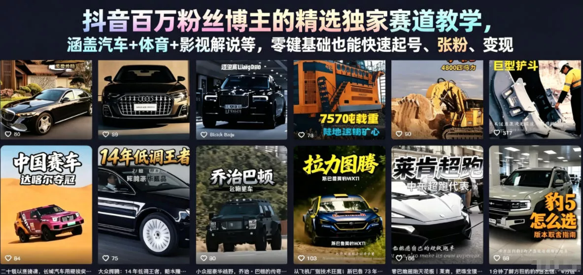 抖音百万粉丝博主的精选独家赛道教学，涵盖汽车+体育+影视解说等，零基础也能快速起号、涨粉、变现(更新0701) - 项目资源网