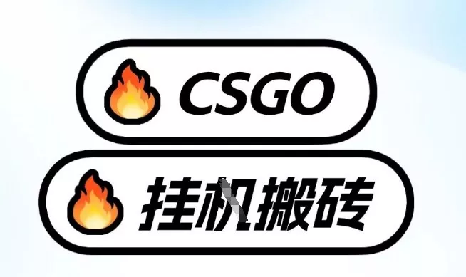 真全网独家CSGO挂G，最新玩法,单日捡漏1K+，不用电脑，不用打游戏【揭秘】 - 项目资源网