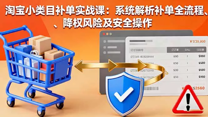 淘宝小类目补单实战课：系统解析补单全流程、降权风险及安全操作 - 项目资源网